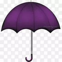 伞紫色桑树画伞