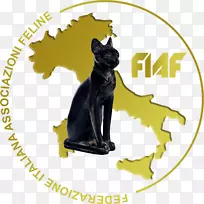 泰国猫鸟黑猫缅因州茧暹罗猫-猫