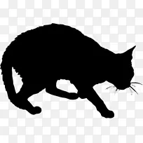 黑猫小猫须，国内短毛猫，野猫-猫标志