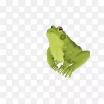 真青蛙食用青蛙数码插图-青蛙