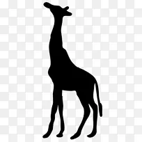 长颈鹿电脑图标剪辑艺术长颈鹿