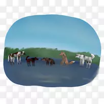 马牛牧场生态系统-马
