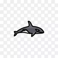普通宽吻海豚批发图库西海豚