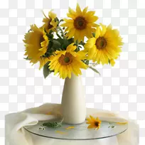普通向日葵花瓶有十二朵向日葵静物摄影花瓶
