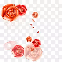 花园玫瑰祝你生日快乐花束生日