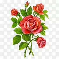 花园玫瑰儿童剪贴画-花