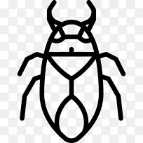 昆虫电脑图标剪辑艺术消毒昆虫病毒