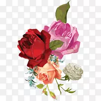 花园玫瑰、花卉设计、蜈蚣玫瑰、帆布花卉