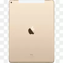 iPad Pro(12.9英寸)(第二代)苹果电脑-iPad
