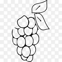 葡萄着色书水果浆果素描葡萄