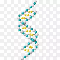实验室科学剪贴画-科学