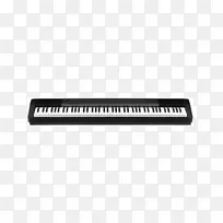 数字钢琴键盘乐器Korg-键盘