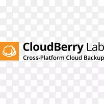 远程备份服务Cloudberry实验室备份软件云计算