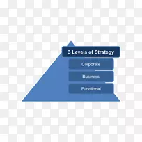 蓝海战略业务案例战略管理战略规划-业务