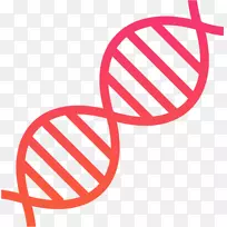DNA遗传学生物学科学