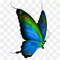 蝴蝶夹艺术-淘宝绘画精湛
