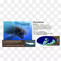海洋生物品牌手册-天然海洋动物海洋微生物