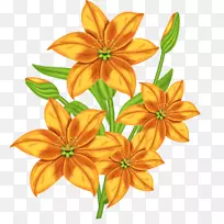 花卉文本剪贴画-花