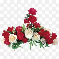 花园玫瑰桌面壁纸花红玫瑰