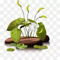 花卉设计剪贴画