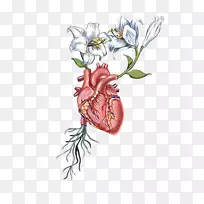 心脏解剖花画-心脏