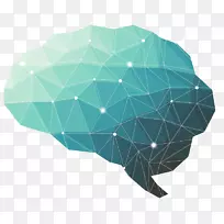 人脑多边形神经科学技术-脑