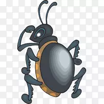 甲虫动画剪辑艺术-甲虫