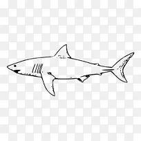 大白鲨锤头鲨公牛鲨鱼剪贴画