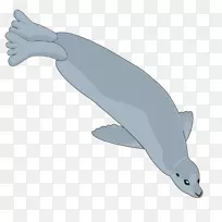 图库溪普通宽吻海豚