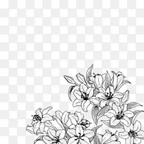 花卉设计黑白花