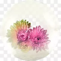 花束花园玫瑰剪贴画-花