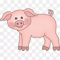 猪小型猪画夹艺术-猪