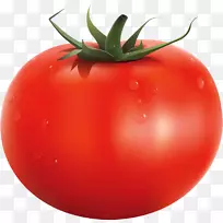 意大利番茄派食品剪贴画-蔬菜