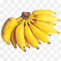 侏儒卡文迪什香蕉水果烹饪香蕉女士手指香蕉-香蕉