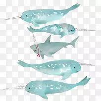 独角鲨水彩画鲸鲨