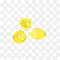 柠檬画水彩画.柠檬
