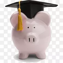 支付学费-学生高等教育-学生贷款