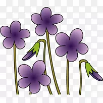 紫罗兰花-免费剪贴画-花卉