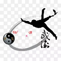少林寺武术武术太极拳