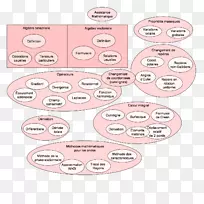 材料字体设计