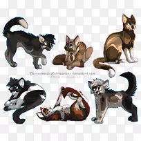 猫妖-猫武士-小猫