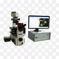 荧光显微镜卡尔蔡司显微镜荧光寿命成像显微镜