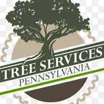 树品牌服务公司业务-树