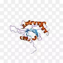 SCO 2蛋白质生物剪贴画