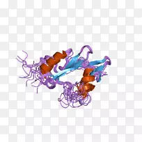 Bruton酪氨酸激酶类胰蛋白酶肥大细胞