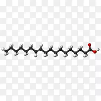 棕榈酸饱和脂肪酸花生酸