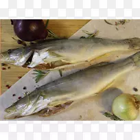 海蓬鱼产品油性鱼类沙丁鱼鲭鱼