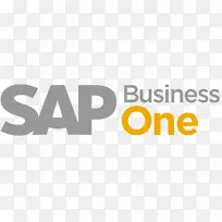 SAP业务一sap haana企业资源规划sap se管理-业务