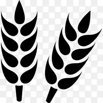小麦计算机图标谷物-小麦