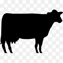 夏特恩安格斯牛，肉牛，赫里福德牛，泽西牛